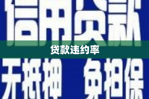 云阳贷款违约率