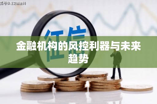 云阳金融机构的风控利器与未来趋势