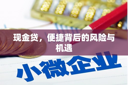 云阳现金贷，便捷背后的风险与机遇