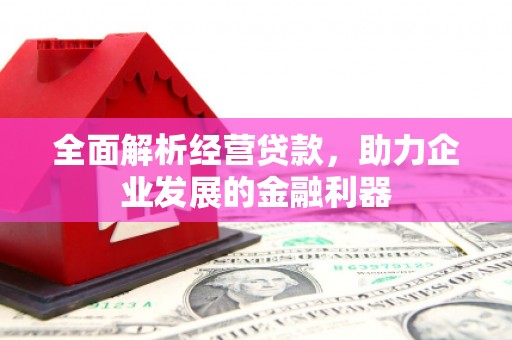 云阳全面解析经营贷款，助力企业发展的金融利器