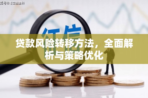 云阳贷款风险转移方法，全面解析与策略优化