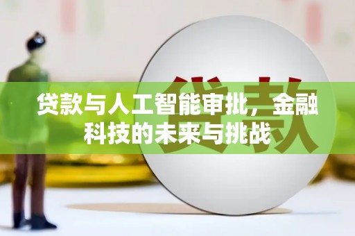 云阳贷款与人工智能审批，金融科技的未来与挑战