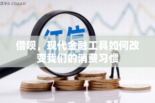 云阳借呗，现代金融工具如何改变我们的消费习惯