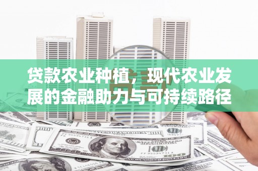 云阳贷款农业种植，现代农业发展的金融助力与可持续路径