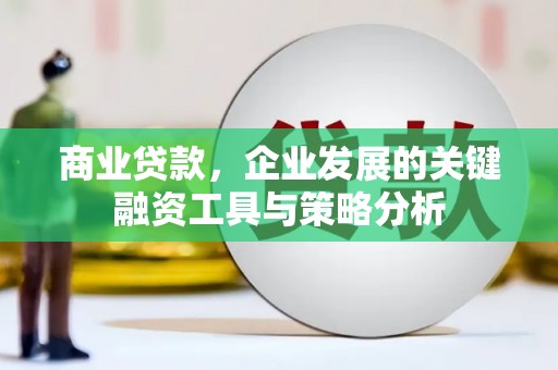 云阳商业贷款，企业发展的关键融资工具与策略分析