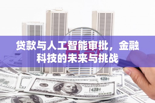 云阳贷款与人工智能审批，金融科技的未来与挑战