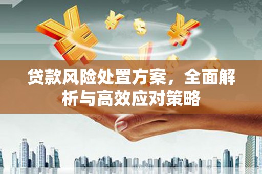 云阳贷款风险处置方案，全面解析与高效应对策略