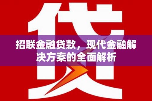 云阳招联金融贷款，现代金融解决方案的全面解析