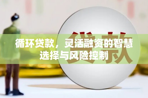 云阳循环贷款，灵活融资的智慧选择与风险控制