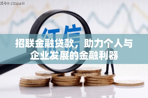 云阳招联金融贷款，助力个人与企业发展的金融利器