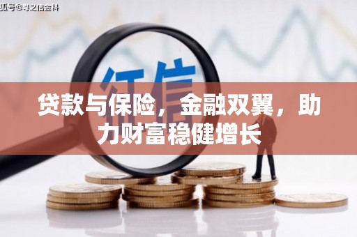 云阳贷款与保险，金融双翼，助力财富稳健增长