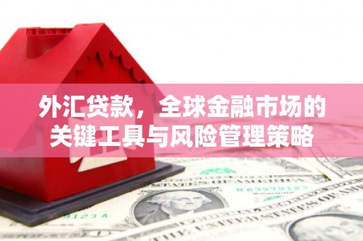 云阳外汇贷款，全球金融市场的关键工具与风险管理策略