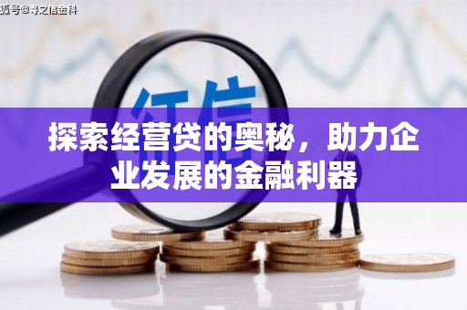 云阳探索经营贷的奥秘，助力企业发展的金融利器