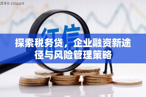 云阳探索税务贷，企业融资新途径与风险管理策略