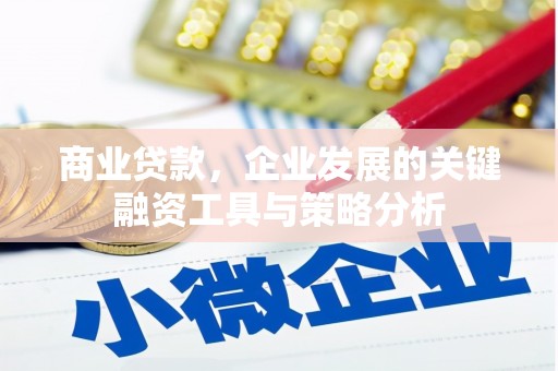 云阳商业贷款，企业发展的关键融资工具与策略分析
