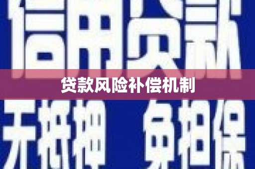 云阳贷款风险补偿机制