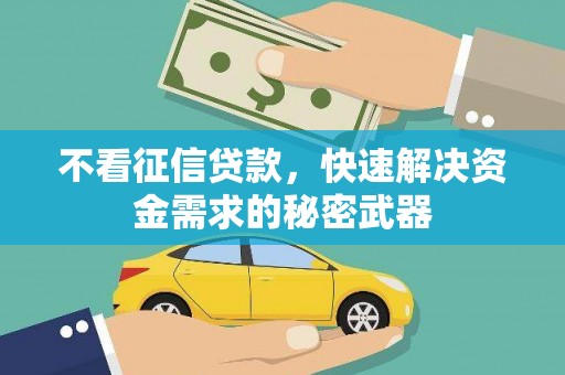云阳不看征信贷款，快速解决资金需求的秘密武器