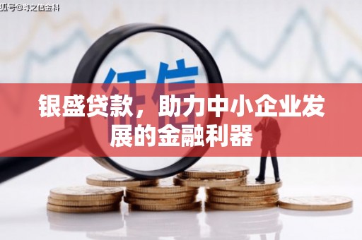 云阳银盛贷款，助力中小企业发展的金融利器