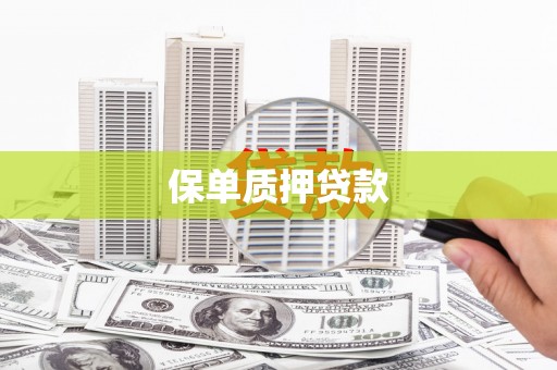 云阳保单质押贷款