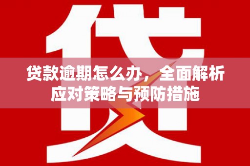 云阳贷款逾期怎么办，全面解析应对策略与预防措施