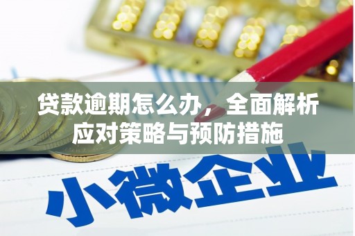 云阳贷款逾期怎么办，全面解析应对策略与预防措施