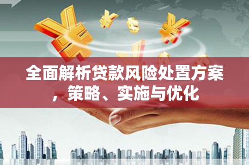 云阳全面解析贷款风险处置方案，策略、实施与优化