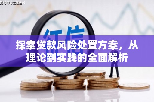 云阳探索贷款风险处置方案，从理论到实践的全面解析