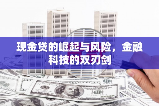 云阳现金贷的崛起与风险，金融科技的双刃剑