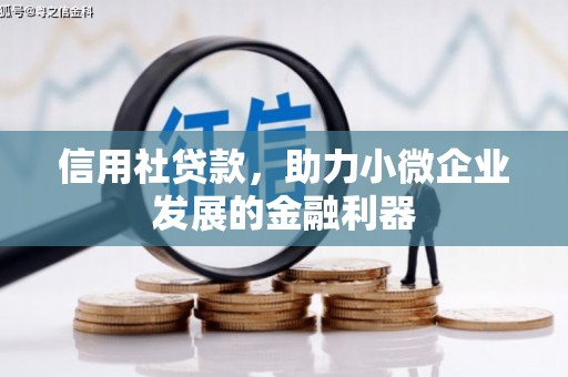 云阳信用社贷款，助力小微企业发展的金融利器