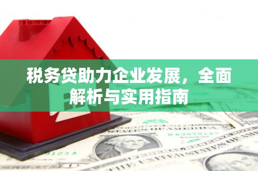 云阳税务贷助力企业发展，全面解析与实用指南