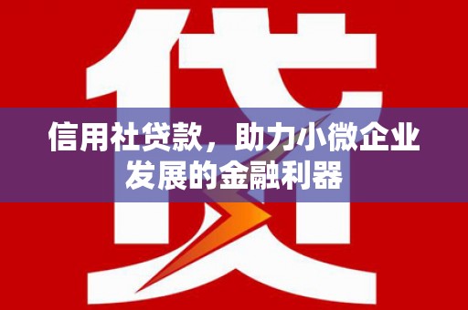 云阳信用社贷款，助力小微企业发展的金融利器