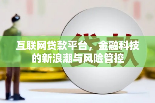 云阳互联网贷款平台，金融科技的新浪潮与风险管控