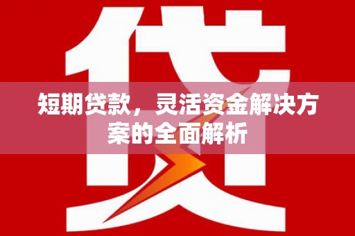 云阳短期贷款，灵活资金解决方案的全面解析