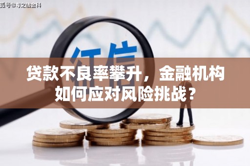 云阳贷款不良率攀升，金融机构如何应对风险挑战？