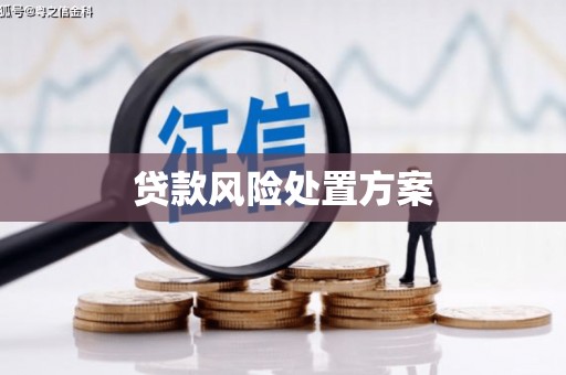 云阳贷款风险处置方案