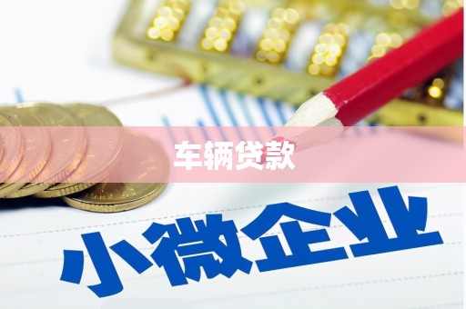 云阳车辆贷款